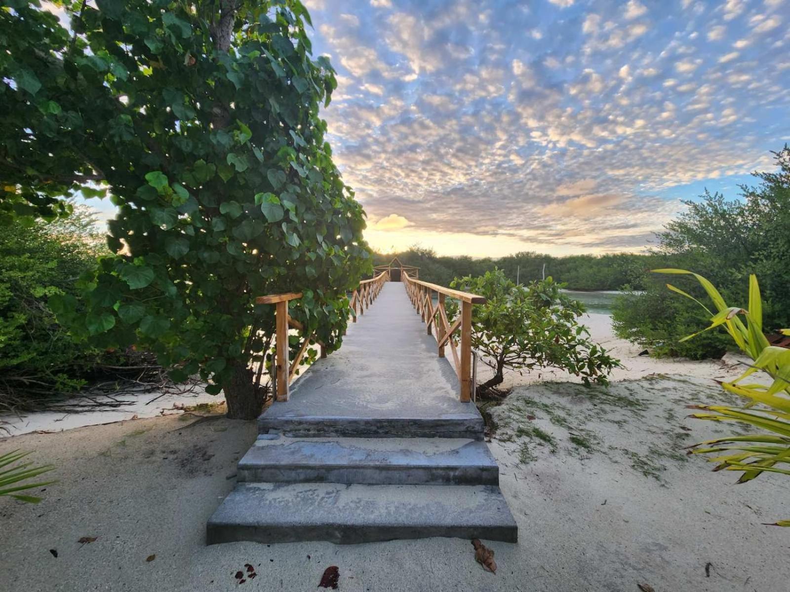 Surf Deck Thulusdhoo Exterior foto